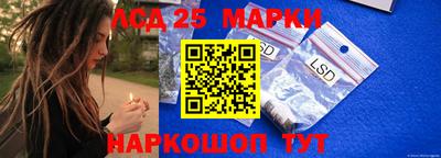 крисы Обь