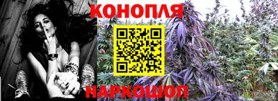 крисы Обь