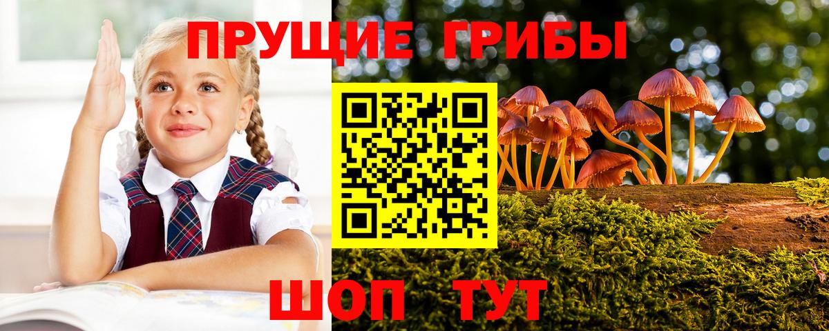 Псилоцибиновые грибы Cubensis Рыбинск